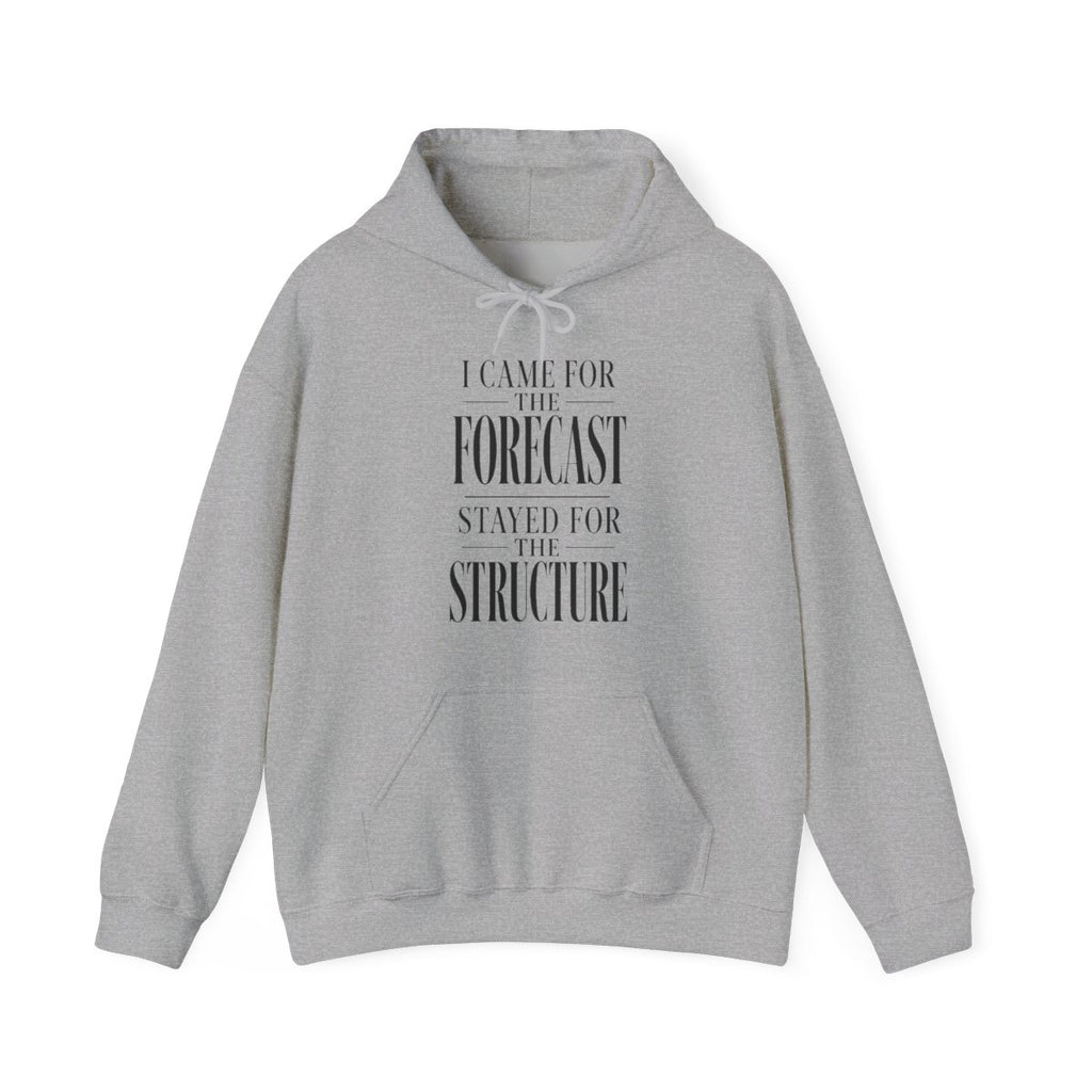 I Came for the Forecast Stayed for the Structure Hoodie in Sport Grey