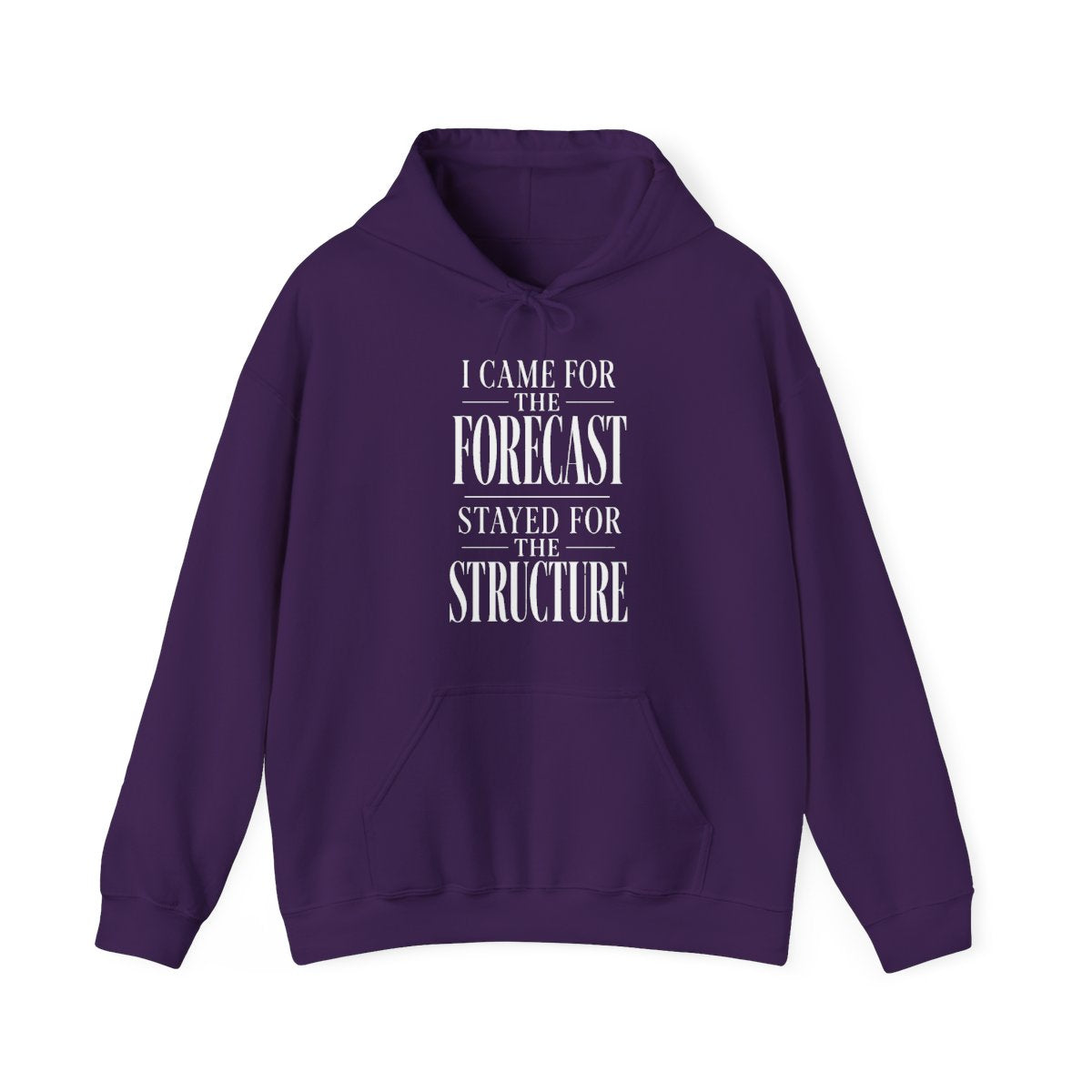 I Came for the Forecast Stayed for the Structure Hoodie in Purple