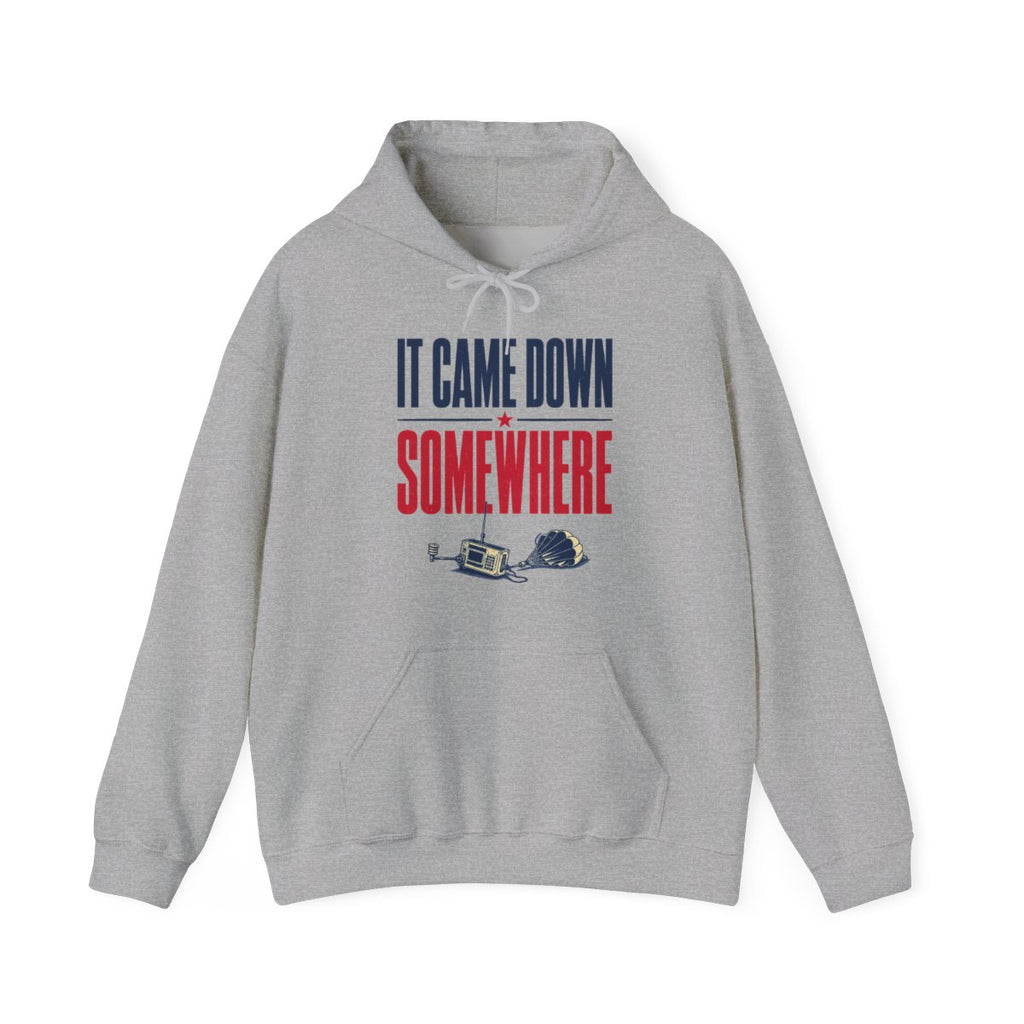 It Came Down Somewhere Hoodie in Sport Grey