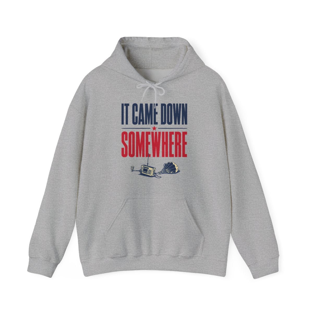 It Came Down Somewhere Hoodie in Sport Grey