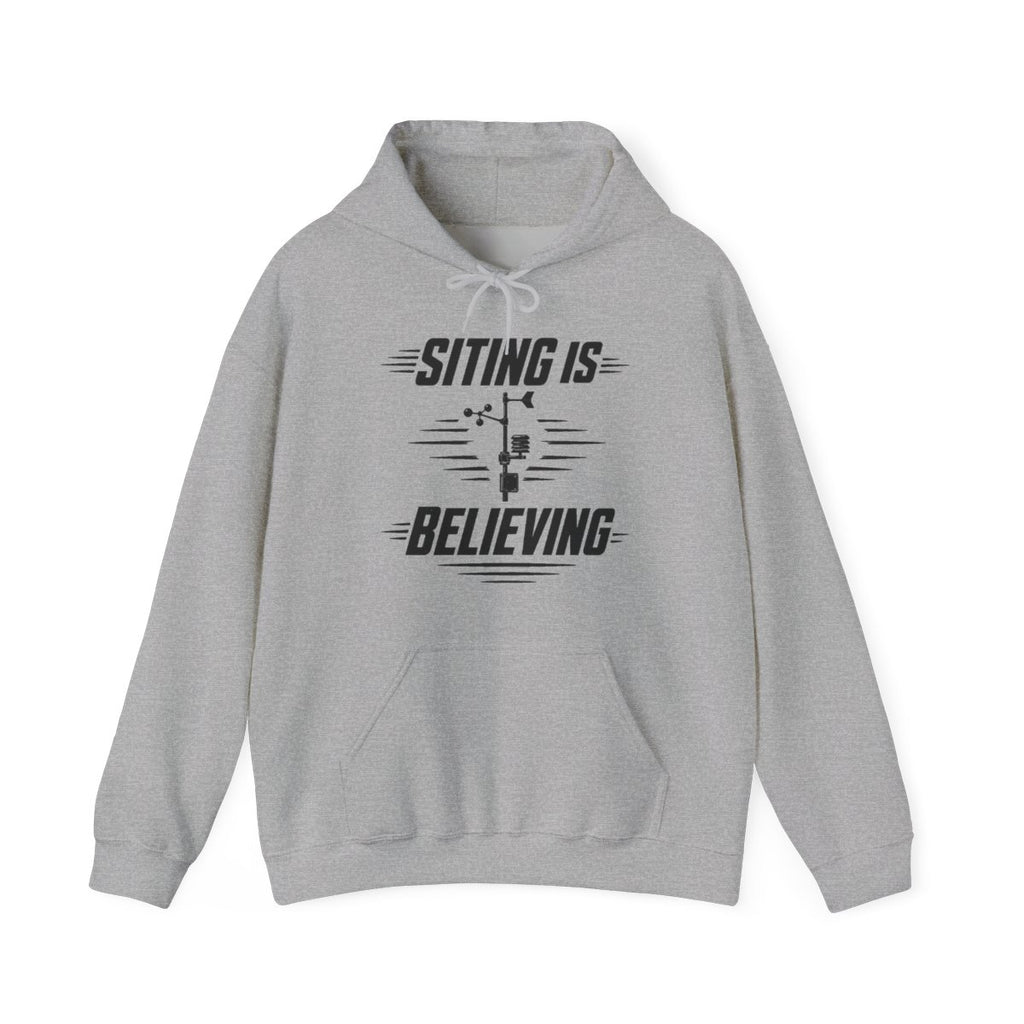 Siting Is Believing Hoodie in Sport Grey