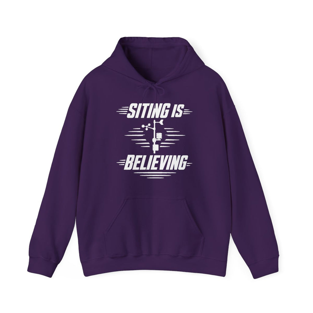 Siting Is Believing Hoodie in Purple