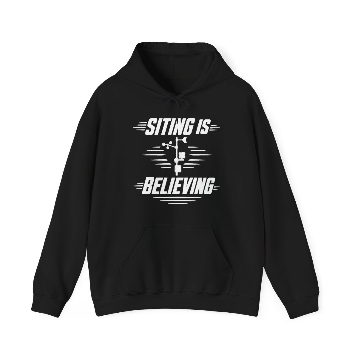 Siting Is Believing Hoodie in Black