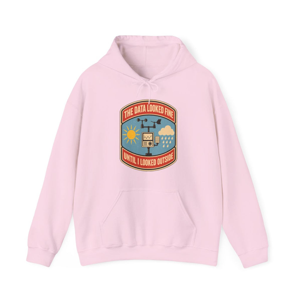 The Data Looked Fine Until I Looked Outside Hoodie in Light Pink