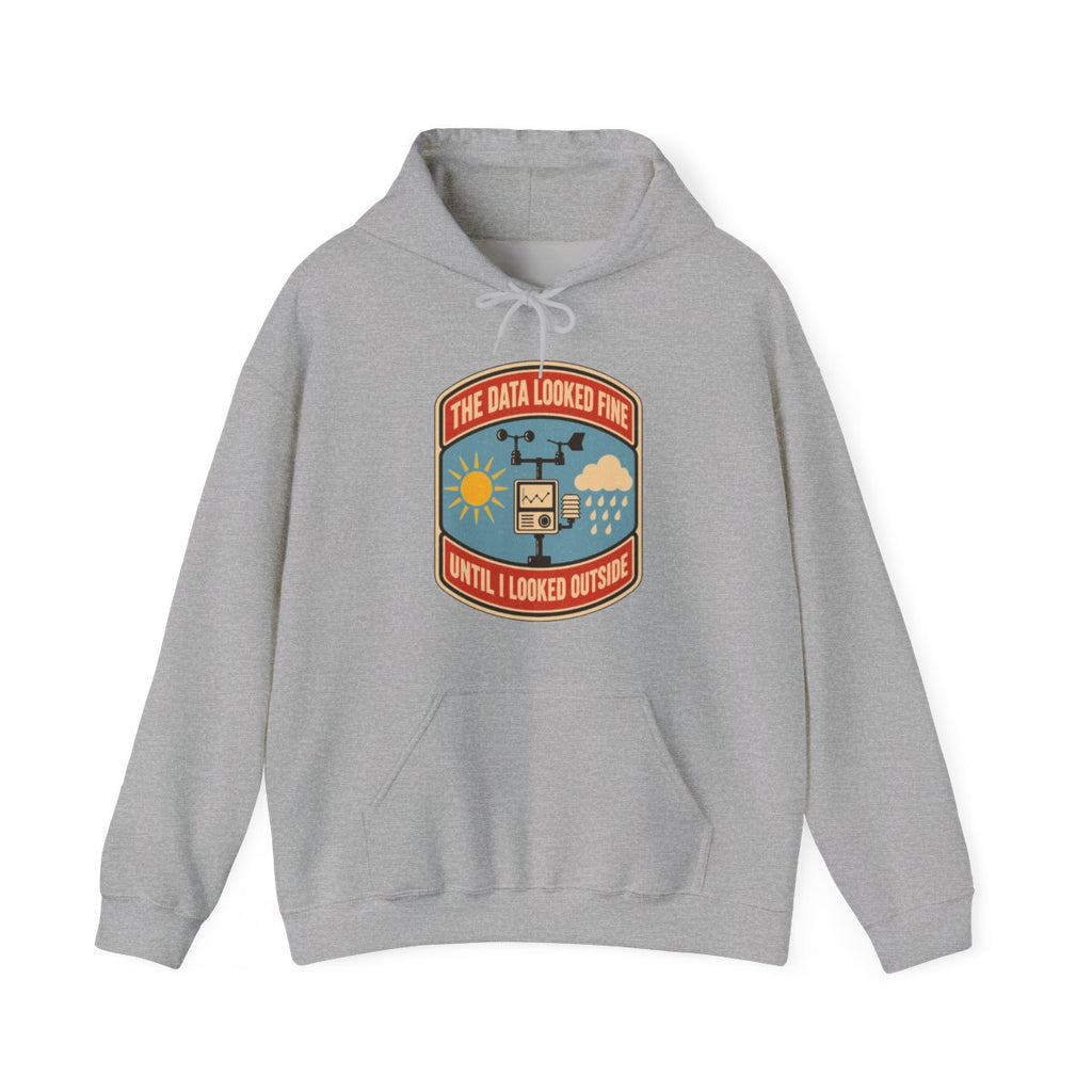 The Data Looked Fine Until I Looked Outside Hoodie in Sport Grey