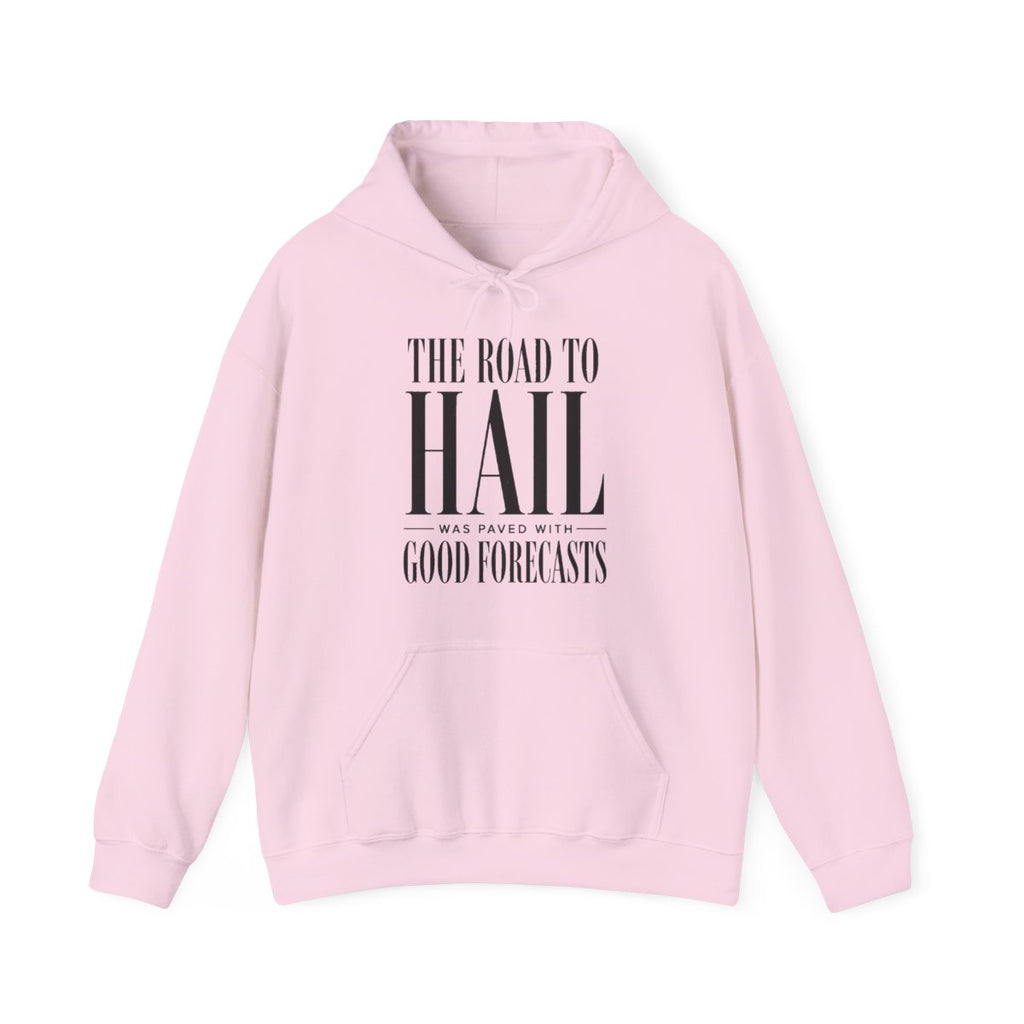 The Road to Hail Was Paved With Good Forecasts Hoodie in Light Pink