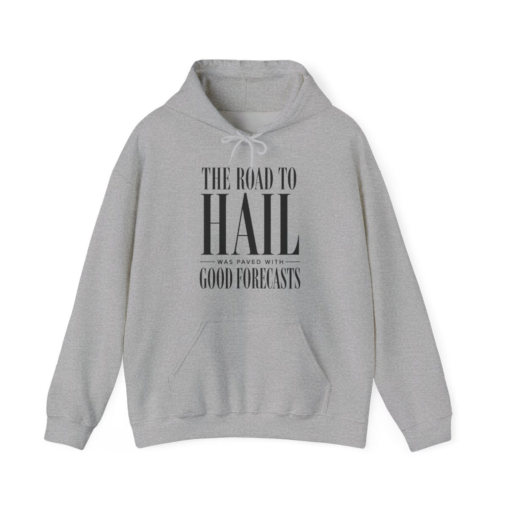 The Road to Hail Was Paved With Good Forecasts Hoodie in Sport Grey