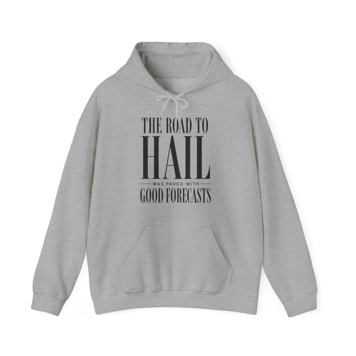 The Road to Hail Was Paved With Good Forecasts Hoodie in Sport Grey